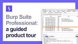 What is Burp Suite Professional