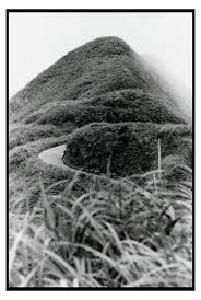 山徑 鐘永和 1956 數位島嶼