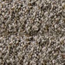 Find stainmaster carpet samples at lowe's today. 17 Carpet Samples Ideas Carpet Samples Stainmaster Carpet