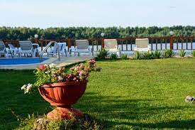 Casa de vacanta regina deltei va invita sa petreceti alaturi de noi un sejur de neuitat in delta dunarii. Sejur All Inclusive 2021 Delta Dunarii Iunie Septembrie Regina Deltei