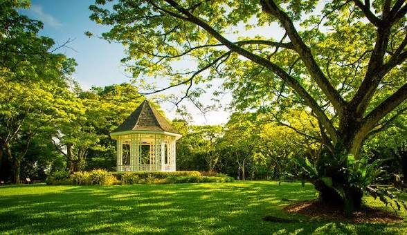 Singapore Botanic Gardens, Singapore: How To Reach, Best Time & Tips