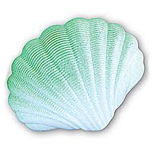 We did not find results for: The Grow A Mermaid Clam Shell Fairy Inspired Gifts For Little Girls Earth Fairy