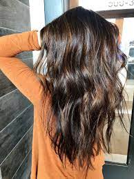 Full Carmel Light Brown Highlights Over Dark Brown Hair Dark Hair With Highlights Long Hair Color Hair Life