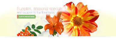 Visit our atlanta, ga showroom today! Halls Atlanta Wholesale Florist