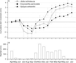 Image result for Xylopia wilwerthii