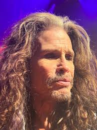 Great experience at Rockville music festival