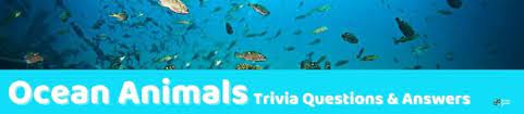 The 1960s produced many of the best tv sitcoms ever, and among the decade's frontrunners is the beverly hillbillies. 99 Animal Trivia Questions And Answers Group Games 101