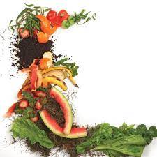 Whole grain cereals and bread and fruit and vegetable peels and pulp can be buried directly in the ground near plants or between the rows of your garden. 6 Ways To Make Great Compost Finegardening