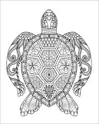 It can be tedious and annoying to select different outfits on a daily basis, unsure of how to best represent your style. Mandala Turtle Coloring Pages For Adults Coloringbay