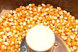 Maybe you would like to learn more about one of these? Diy Native American Cornmeal American Corn Native American Food Corn Meal Recipes