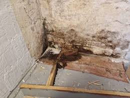 Image result for site:byggahus.se återställa