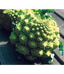 Das sind die 7 besten rezepte mit blumenkohl! Blumenkohl Romanesco 12er Schale Dehner