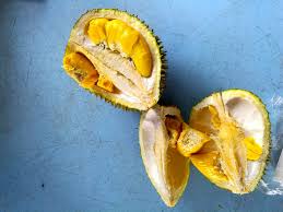 Lebuhraya kuala lumpur, gua musang 18300 malaysia. Raub Musang King 7822 7855 Ah Wen 2730 Lebuhraya Kuala Lu Flickr