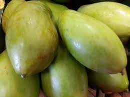 Indian mango calories indian mango benefits indian mango recipes indian mango nutrition facts indian mango vitamins indian mango with bagoong recipe indian mango price philippines 2020 indian mango photos indian mango protein indian mango quotes quick indian mango chutney. Green Mango Mangga Maribehlla