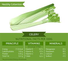 More images for how long is celery good for » Celery Health Benefits 5 Reasons You Should Eat This Vegetable
