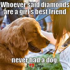 Shot of a young woman taking her dog for a walk through the park. Whoever Said Diamonds Are A Girl S Best Friend Never Had A Dog Dog Words Dogs I Love Dogs