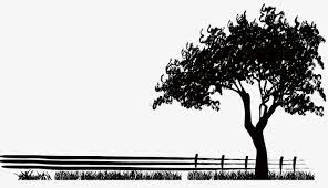 Trees Silhouette Png And Vector Tree Silhouette Silhouette Black Tree