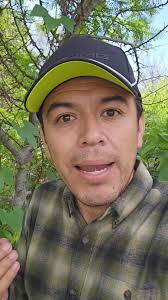 El arlomo, una larva que puede desvivir a una persona, Mira cual es el  remedio.