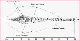 Api, apit, fmj, tracer and more. Wound Ballistics Motion And Effects Of Projectiles In The Human Body White Mountain Forensic