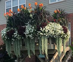 When searching for potted flower arrangement ideas and living flower arrangements, its important to understand the true meaning! Townhome Living With Flowers Finegardening