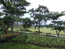 Sunny days resorts spa & aqua park 4 *. Wbsfda Ecotourism