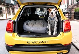 Are there any good methods to transmitting rf over long distances that isn't tesseracts, or miles of cable? Pet Cab Nyc