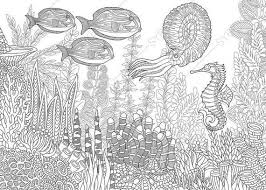 Fish coloring pages has intuitive design to easy to use, is perfect for everyone who likes sea animals, tropical fish coloring pages, and sea fish! Adult Coloring Pages Fish