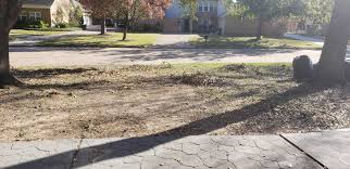 Check spelling or type a new query. I M A Huge Beginner And I Want To Clean Up This Lawn To Help My Parents To Grow Grass Do You Just Simply Water Dirt Also Should I Use A Rake First