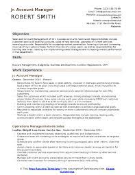 We thrive on diversity & inclusion. Looking For A Great Account Manager Resume Here You Are