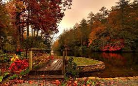 Pin De Sosemke En Ezerszinu Osz Autumns Fondo Imagenes Bellas Fotos