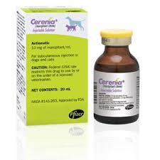 cerenia 10mg ml solution for injection for cats and dogs pom