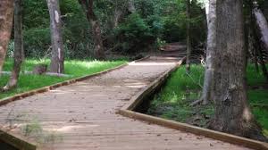 Zillow has 203 homes for sale in north carolina matching log cabin in. Campground Details Carolina Beach State Park Nc North Carolina State Parks