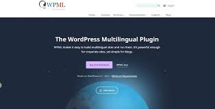 WordPress多语言插件：低成本扩大流量与询盘的实用利器- Ecomools