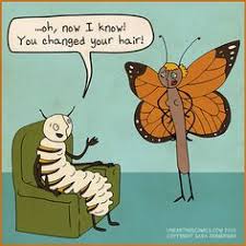 Jan 03, 2020 · to help you choose a phrase to impress your love this holiday we have compiled 50 of the best flower quotes and puns around. Caterpillar To Butterfly Meme