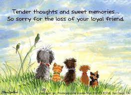 Check out our sorry for your loss dog selection for the very best in unique or custom, handmade pieces from our sympathy cards shops. Rainbow Bridge Google Search Rainbow Bridge Dog Sympathy Pet Loss Quotes