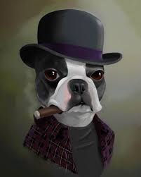 Boston Terrier Gift The Bowler Hat Boston Terrier Art Etsy Boston Terrier Dog Boston Terrier Gift Boston Terrier