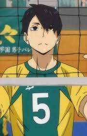 Pin On Haikyuu Number 5 S
