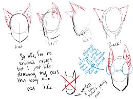 S that shape the outline of the connecting membrane and lobe. How To Draw Animal Ears On A Nekomimi Gijinka Whatever The Hell You Want To Call Those People In Anime With Animal Ears Drawing Tips Refs In 2019 Anime Ze