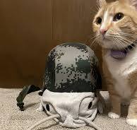 QGF 03 helmet : r/Impression_Kits