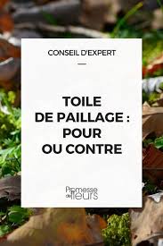 Toile De Paillage Pour Ou Contre Toile De Paillage Paillage Potager Et Paillage Jardin