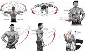 External band rotations is a good shoulder strengthening exercise. Shoulders Cable Exercises Cable Workout Shoulder Workout Cable Shoulder Workout