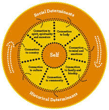 Ibobbly Mobile Health Intervention For Suicide Prevention In Australian Indigenous Youth A Pilot Randomised Controlled Trial Bmj Open