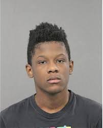 ᐅ Illinois Criminal Records 2009-2025