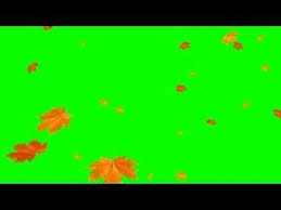 Green Screens Falling Leaves Autumn Youtube Greenscreen Autumn Leaves Green Screen Video Backgrounds