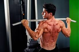 If you had to choose one thing you could do to enhance your work, relationships, attitude, confidence, and health, it would be exercise. Back Anatomy All About The Back Muscles
