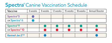 54 Logical Puppy Worming Schedule Chart