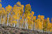 Zion National Park