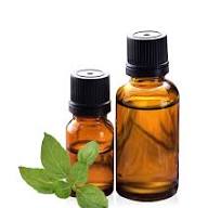 High Purity Natural Nicotine | Wholesale 99.9% Pure Nicotine ...