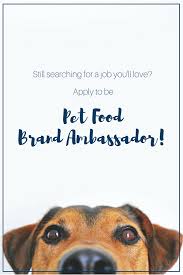 Still Searching For A Job You Ll Love Apply Today To Be A Pet Food Brand Ambassador Food Animals How To Apply Find A Job