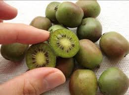 Cocktail Miniature Kiwi Kiwiberry Berry Hardy Actinidia Arguta 30 Seeds In 2020 Kiwi Berries Berries Seeds